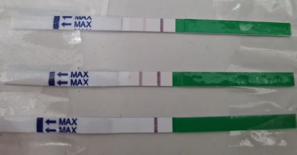 Ovulation test purple??