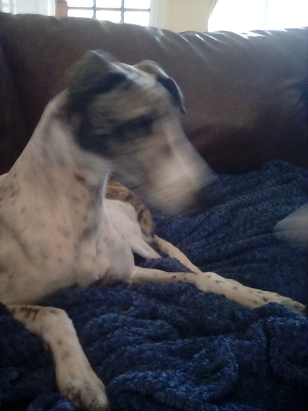 I know everything about you. AMA