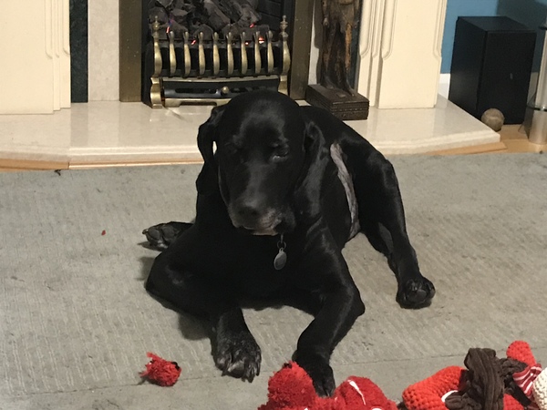 There are three people in our marriage