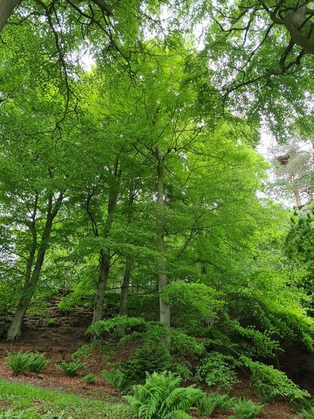 Nature appreciation thread