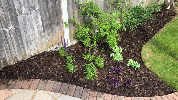 Please help me plan this small bit of flower bed!