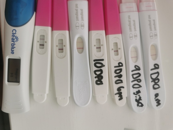 Due February 2022