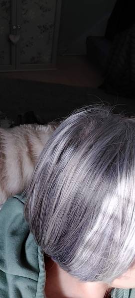 How did you transition to grey hair