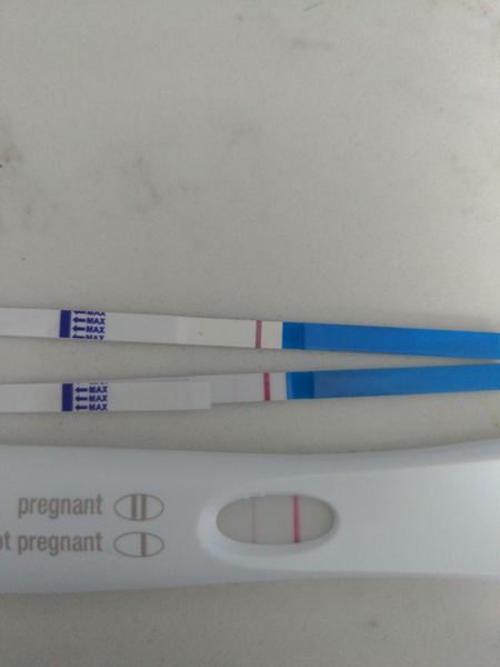.  🦕 Catching up - ttc after miscarriage part 6 🦕