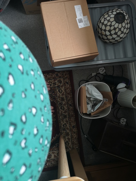 Due August 2021 - Third Trimester!