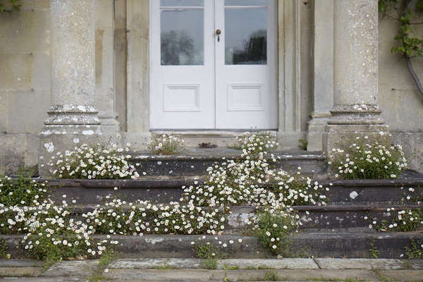 Erigon steps