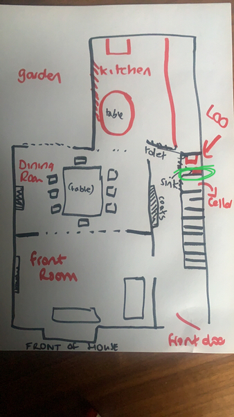 Change downstairs loo into a cupboard/pantry?