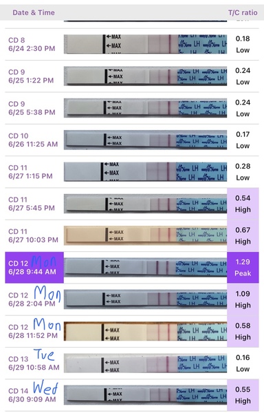 🧙Witch day did I ovulate?!🧙