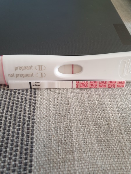 Help! Evap or BFP?