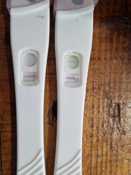 First OPK tests