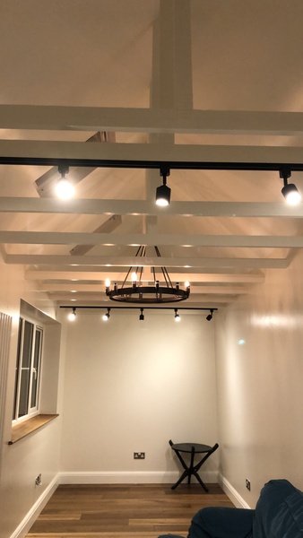 Garage conversion: exposed trusses!