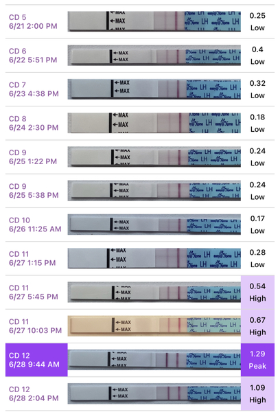 🧙Witch day did I ovulate?!🧙