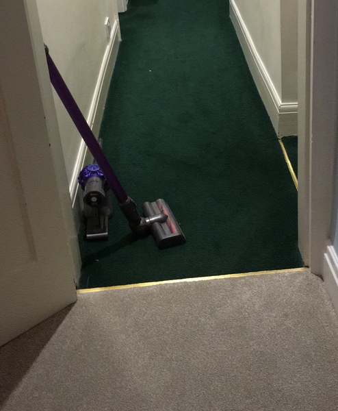 raspberry carpet: massive mistake? (Pic)