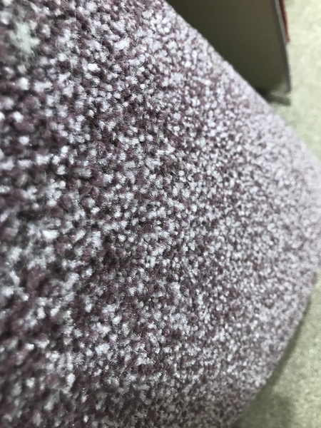 raspberry carpet: massive mistake? (Pic)