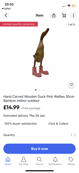 To ask you to help me find this wooden duck :(