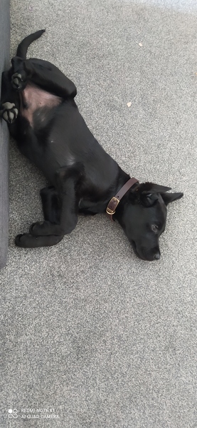 Frugaleers MayBee just MayBee