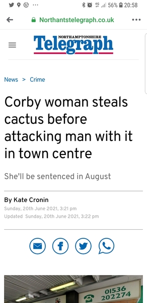 To ask what's occurring in your local Facebook group?