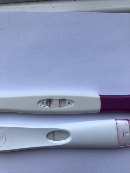 Old ovaries, new lines