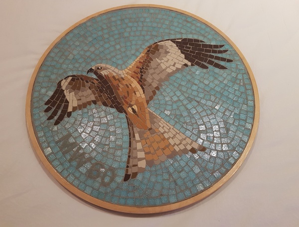 What is this bird?