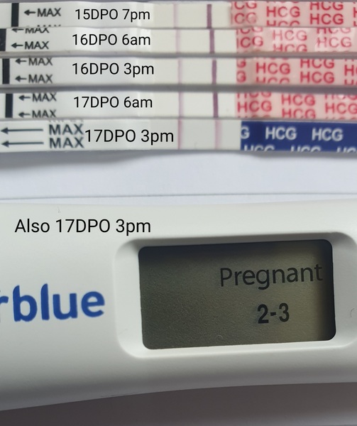 Due February 2022