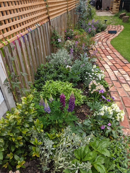 *PICS* Complete novice with a blank slate garden