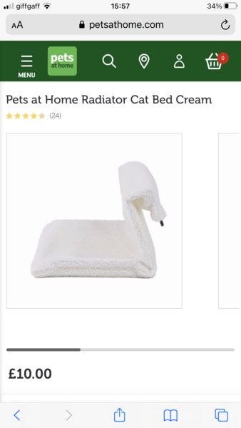 New rescue cats, lots of questions!
