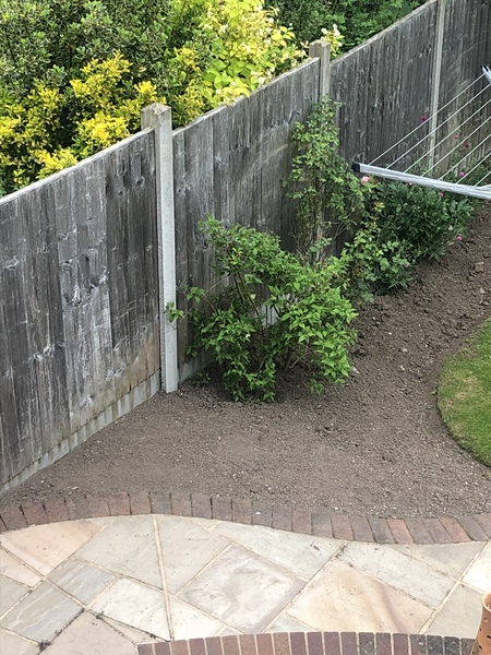 Please help me plan this small bit of flower bed!