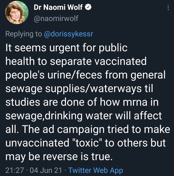 Naomi Wolf finally suspended from Twitter