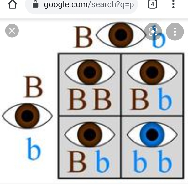 Eye colour