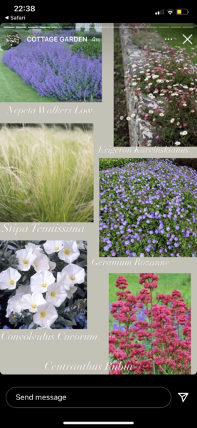 New gardener - I know which plants if like to plant but how do i know which ones to plant where?