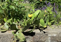 Come and tell me your dull and unexciting news 15: Calmly through the day