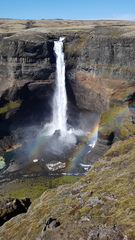 Reykjavik /Iceland anyone ?