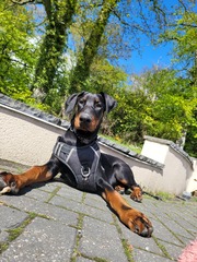 Newbie looking for some support