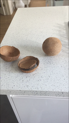 Coconuts
