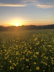 Nature appreciation thread