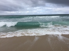 Nature appreciation thread