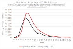 ADs shelter in The Sleeping Swans and have a group hug