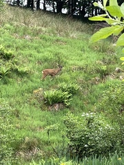 Nature appreciation thread