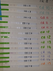 Opk have i surged/ ovulated twice confused?