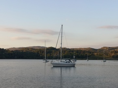 Week 9 - very much hoping this is our last fortnight!