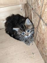 Ideas for names!
