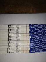 pregnant after miscarriages...