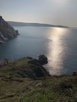 Nature appreciation thread