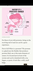 If you avoid the feminist section then at least read this article