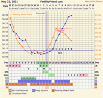 9DPO Symptom Spotting