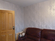 Oak veneer internal doors - do they go with grey walls decor?