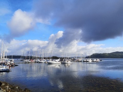 Week 9 - very much hoping this is our last fortnight!