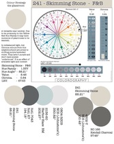 Finding the right paint