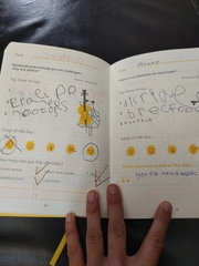 What age child do you think did this writing?