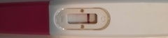 Faint positive pregnancy tests, then negatives. What's going on?!
